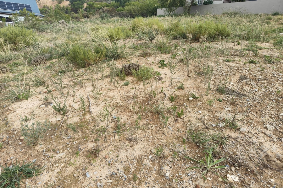 0 Bedroom Property for Sale in Piketberg Western Cape